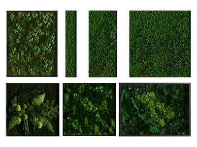 现代长方形植物墙 植物装饰挂画