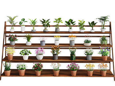 现代梯形花架 盆景盆栽植物