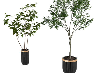 现代轻奢陶瓷花盆树木盆景盆栽植物