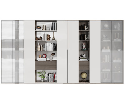 现代玻璃柜门的书柜 装饰柜