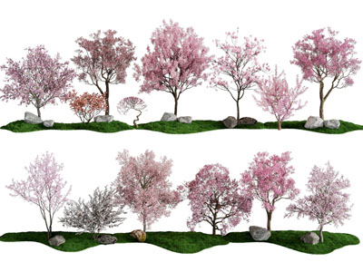 现代开满红色花朵的景观树木 园艺小品