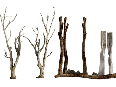 现代枯死的树木 树干 树枝 木材