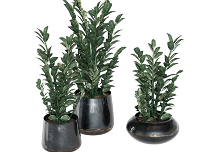 现代陶艺花盆盆景盆栽植物