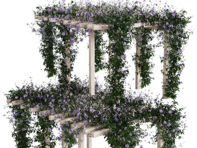 现代廊架 花架 藤蔓花卉植物