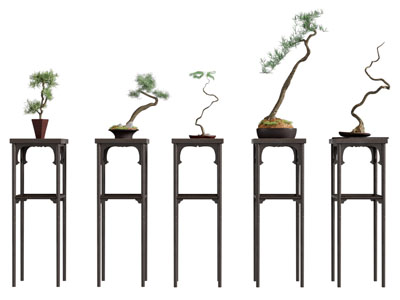 新中式盆景盆栽 摆件组合