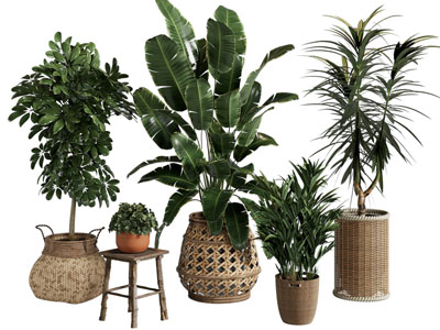 现代藤编花盆盆景盆栽植物