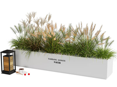 现代花箱 花草植物盆景盆栽