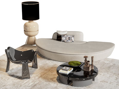 现代异形沙发 休闲椅子和茶几组合