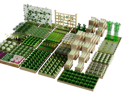 现代庭院小品 菜园 菜地 种植区 菜架