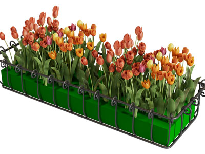 现代花坛 花卉 花草植物 园艺小品