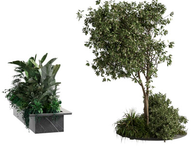 现代树池 花坛 景观树木