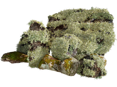 现代石头 假山 景观石 青苔 苔藓 地形