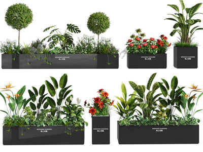 现代花箱花卉花草盆景盆栽植物