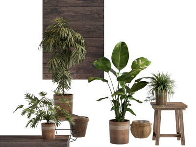 侘寂风陶艺花盆盆景盆栽植物