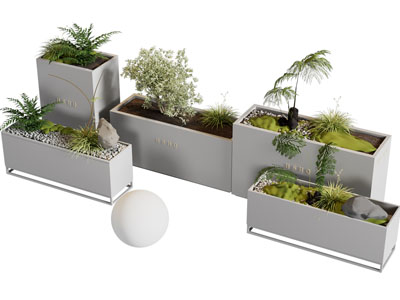 现代花坛花箱绿色盆景盆栽植物