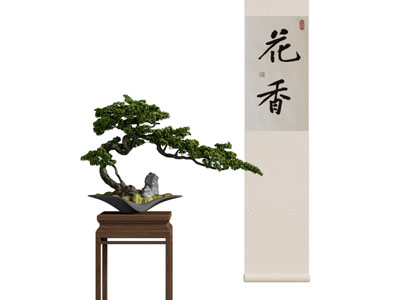 新中式松树盆景盆栽植物