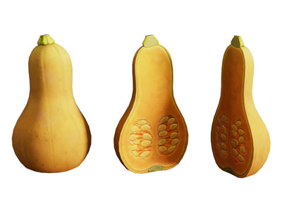 现代葫芦 蔬菜 水果食物