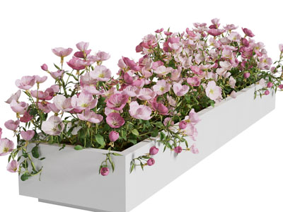 现代花坛 花卉 花草植物景观园艺小品