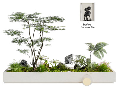 现代花坛花草 加深 树木盆景盆栽植物