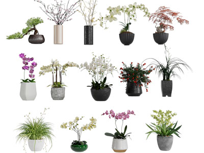 新中式花瓶花卉 盆景盆栽植物