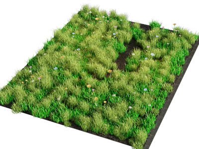 现代花草 草地植物