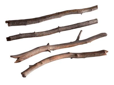 现代木头 木材 木棍 枯木杆