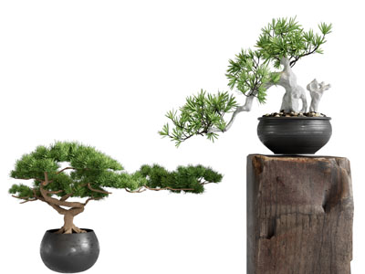 新中式花盆松树盆景盆栽植物