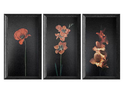 法式装饰挂画3d模型 法式装饰挂画