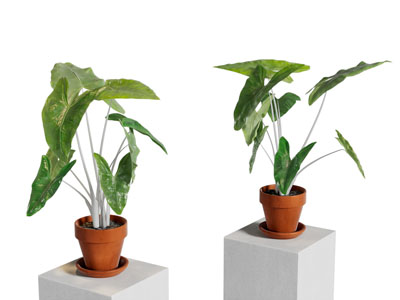 现代陶艺花盆盆景盆栽植物