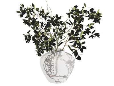 现代玻璃花瓶花卉