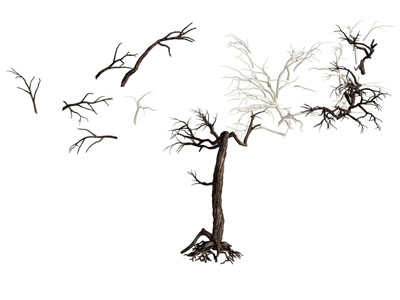 现代枯木 木棍 树干 木材