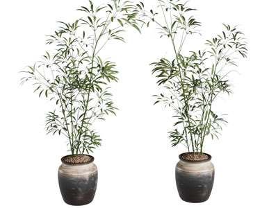 新中式花盆盆景盆栽植物