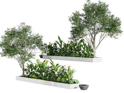 现代花坛花池花草树木盆景盆栽植物