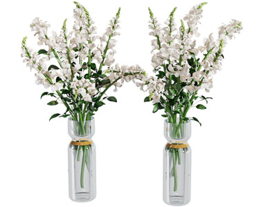 现代玻璃花瓶花卉