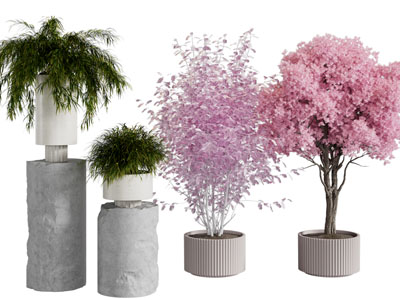 现代花盆盆景盆栽植物