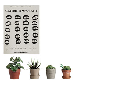 现代花盆盆景盆栽植物 挂画