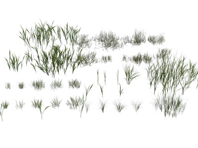 现代花草植物3d模型 现代花草植物