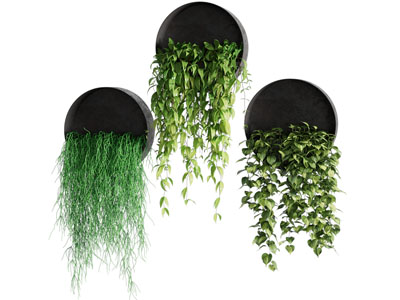 现代吊篮绿植 墙饰 植物墙