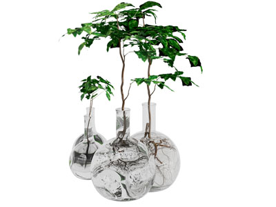 现代玻璃花瓶花卉3d模型 现代玻璃花瓶花卉