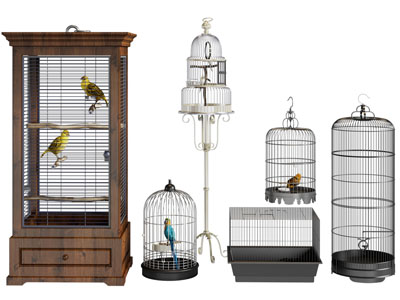 新中式鸟笼 宠物鹦鹉 摆件3d模型 新中式鸟笼 宠物鹦鹉 摆件