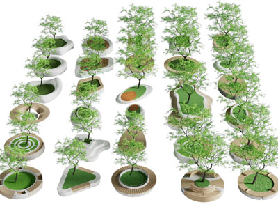 现代树池 景观树木