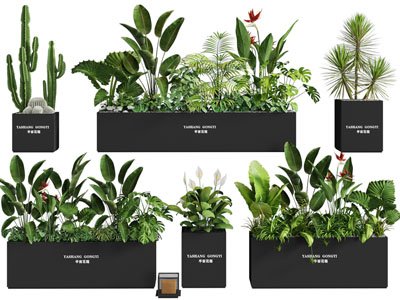 现代户外花箱盆景盆栽植物3d模型 现代户外花箱盆景盆栽植物