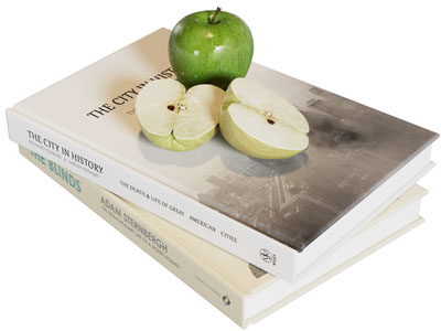 现代书本 苹果 摆件组合