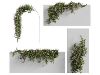 现代藤蔓植物 植物墙3d模型 现代藤蔓植物 植物墙