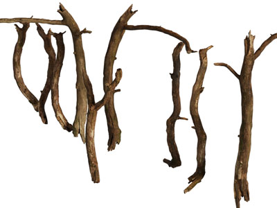 现代枯树枝 木棍 木材