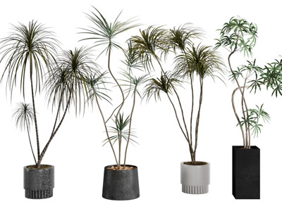 现代花盆盆景盆栽植物3d模型 现代花盆盆景盆栽植物