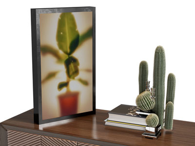 现代装饰画 多肉盆栽 书本 摆件组合3d模型 现代装饰画 多肉盆栽 书本 摆件组合