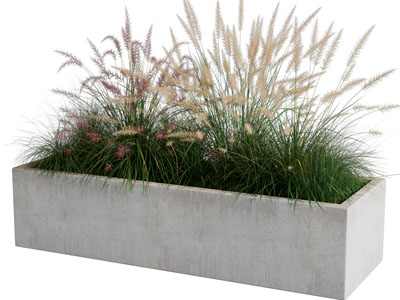 现代水泥花坛 狗尾巴草盆景盆栽植物3d模型 现代水泥花坛 狗尾巴草盆景盆栽植物