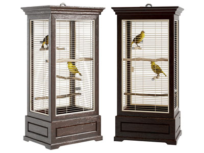 新中式鸟笼 画眉鸟3d模型 新中式鸟笼 画眉鸟