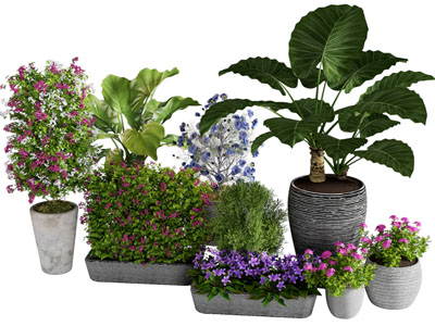 现代花盆花卉盆景盆栽植物3d模型 现代花盆花卉盆景盆栽植物